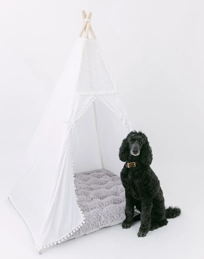 E & E Teepee: Evelyn