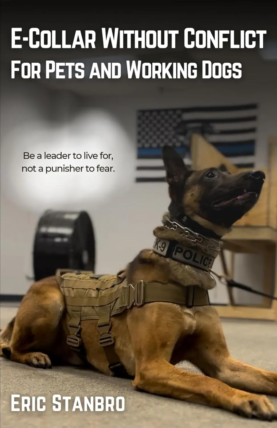 E-Collar Without Conflict: For Pets and Working Dogs Paperback  October 21, 2024